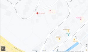 Esta imagen muestra la Casa Eames desde el mapa de google.