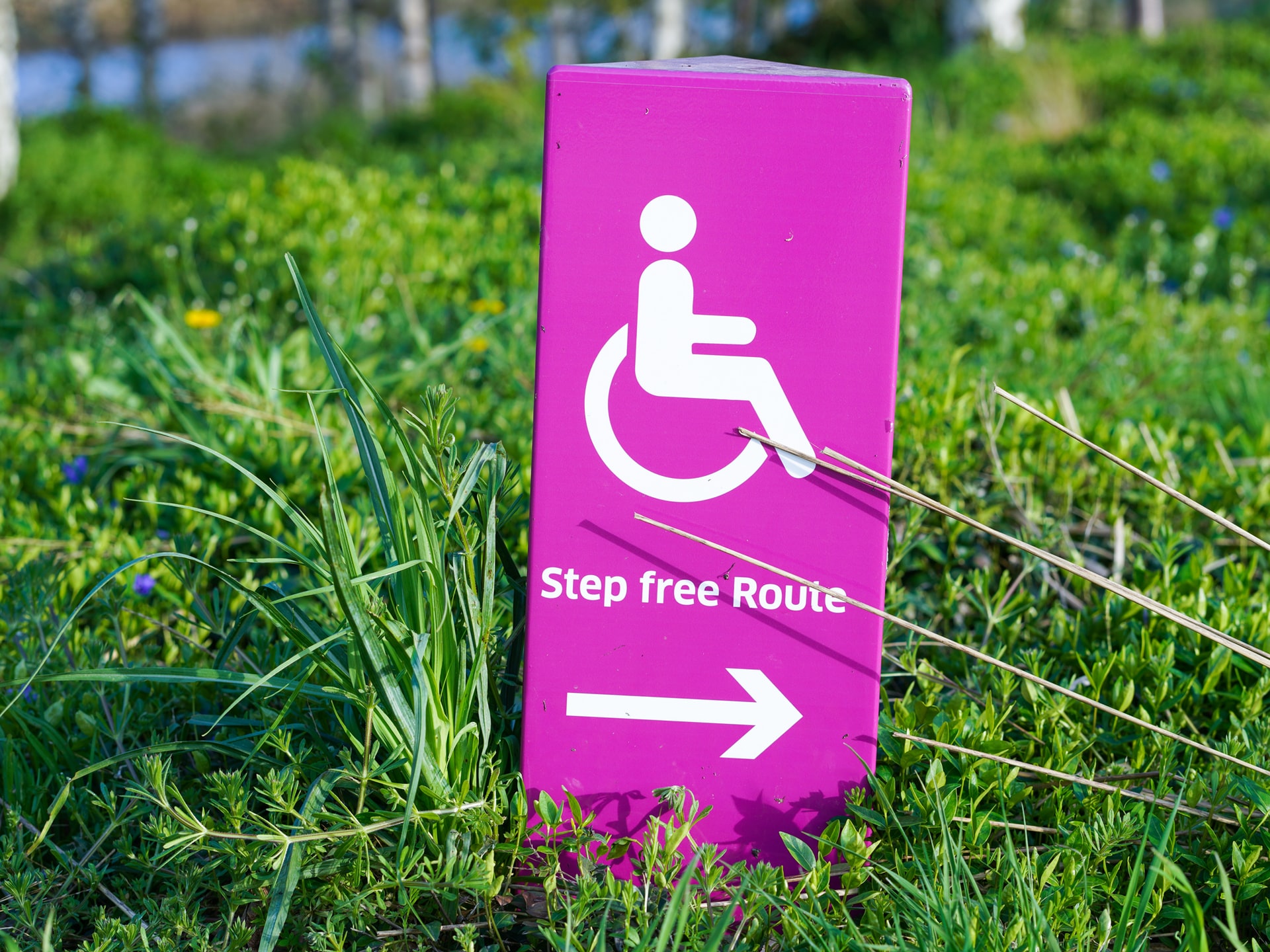 step free route sign.jpg