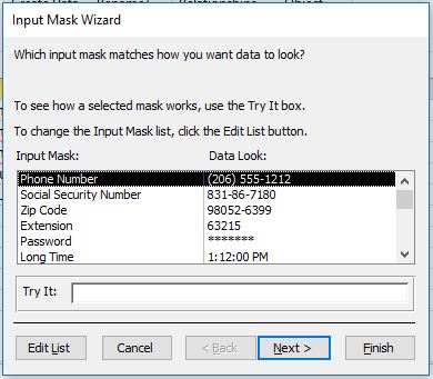 Input Mask Wizard