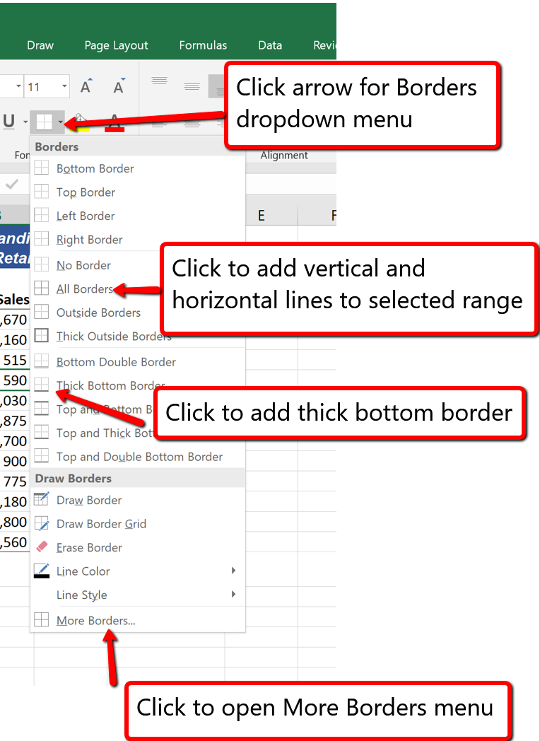 Format Borders Drop-Down Menu options