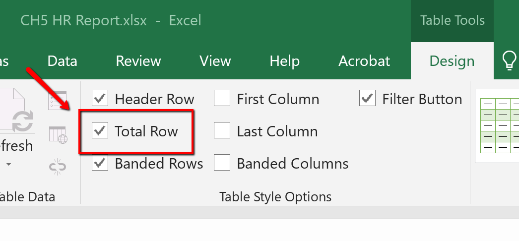 Screen Shot of the Total Row check box option