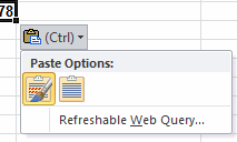 Button: Paste Options - copy from web page (Excel 2010)