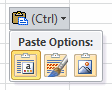 Button: Paste Options - picture (Excel 2010)