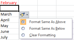 Button: Insert Options - cell (Excel 2010)