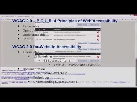 Thumbnail for the embedded element "WCAG-WAI Basics"
