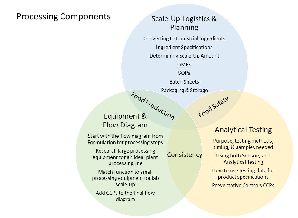 Processing tasks as a Venn diagram including Scale-Up Logistics and Planning, Equipment and Flow Diagram, and Analytical Testing