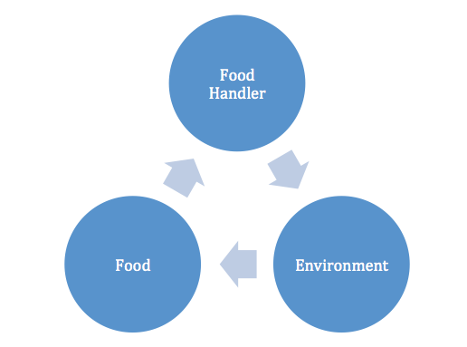 The cycle of bacterial transmission goes from food handler to environment to food and back to the Food Handler