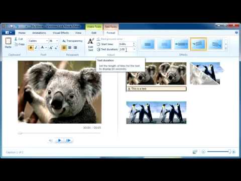 Thumbnail for the embedded element "Windows Live Movie Maker Quick Tutorial"