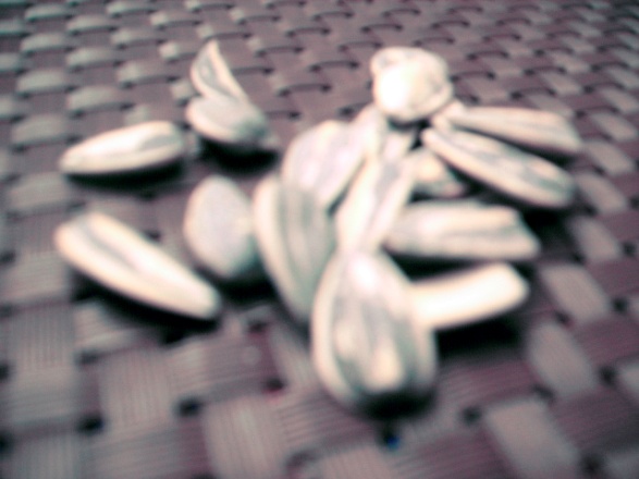 a blurry close-up of some sunflower seeds