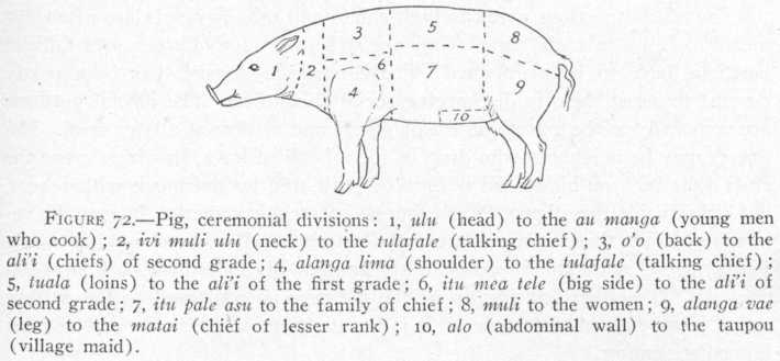 diagram of a pig and the meat cuts it can be divided into