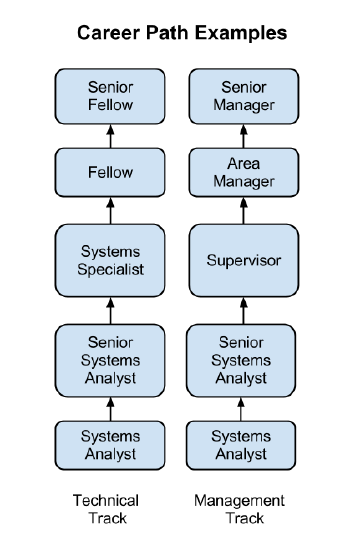 flowchart showing two possible career paths of promotion in an organization, Technical track and Management track