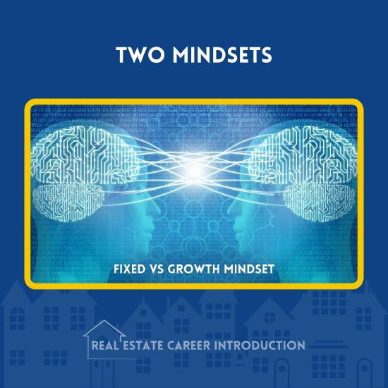 7 - MODULE - Graphics 6.jpg