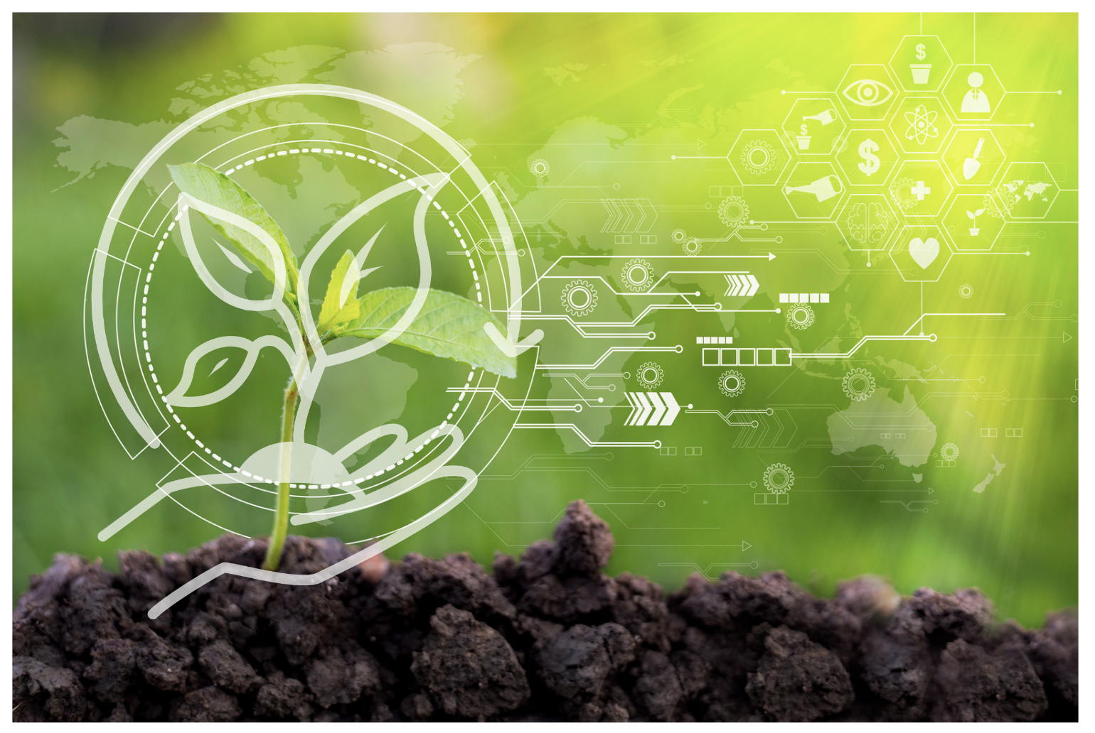 decorative image of plant and technology symbols
