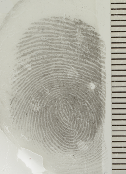 mindtouch.page#thumbnail