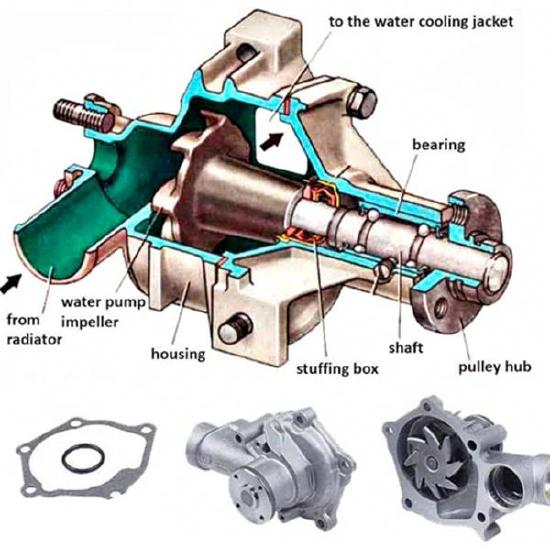 Diagram of a water pump showing internal components like housing, shaft, and inlet/outlet connections, with additional parts below.