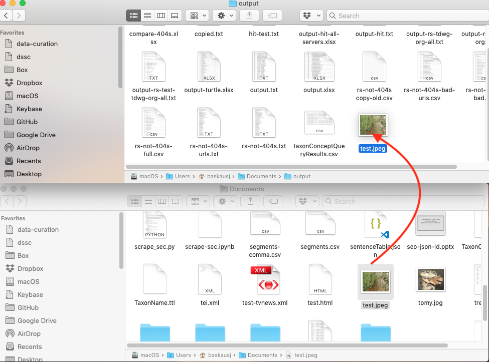 moving files in finder