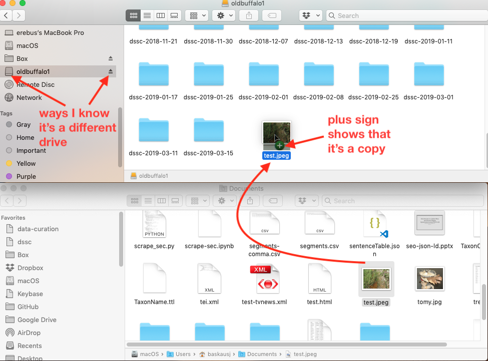Copy file in Finder