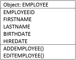 Schema for the employee object