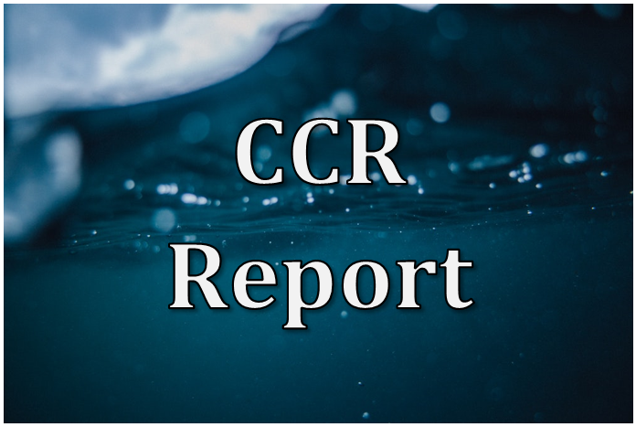 Example of a CCR Report