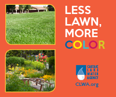 less lawn more color_Inside SCV web3.png