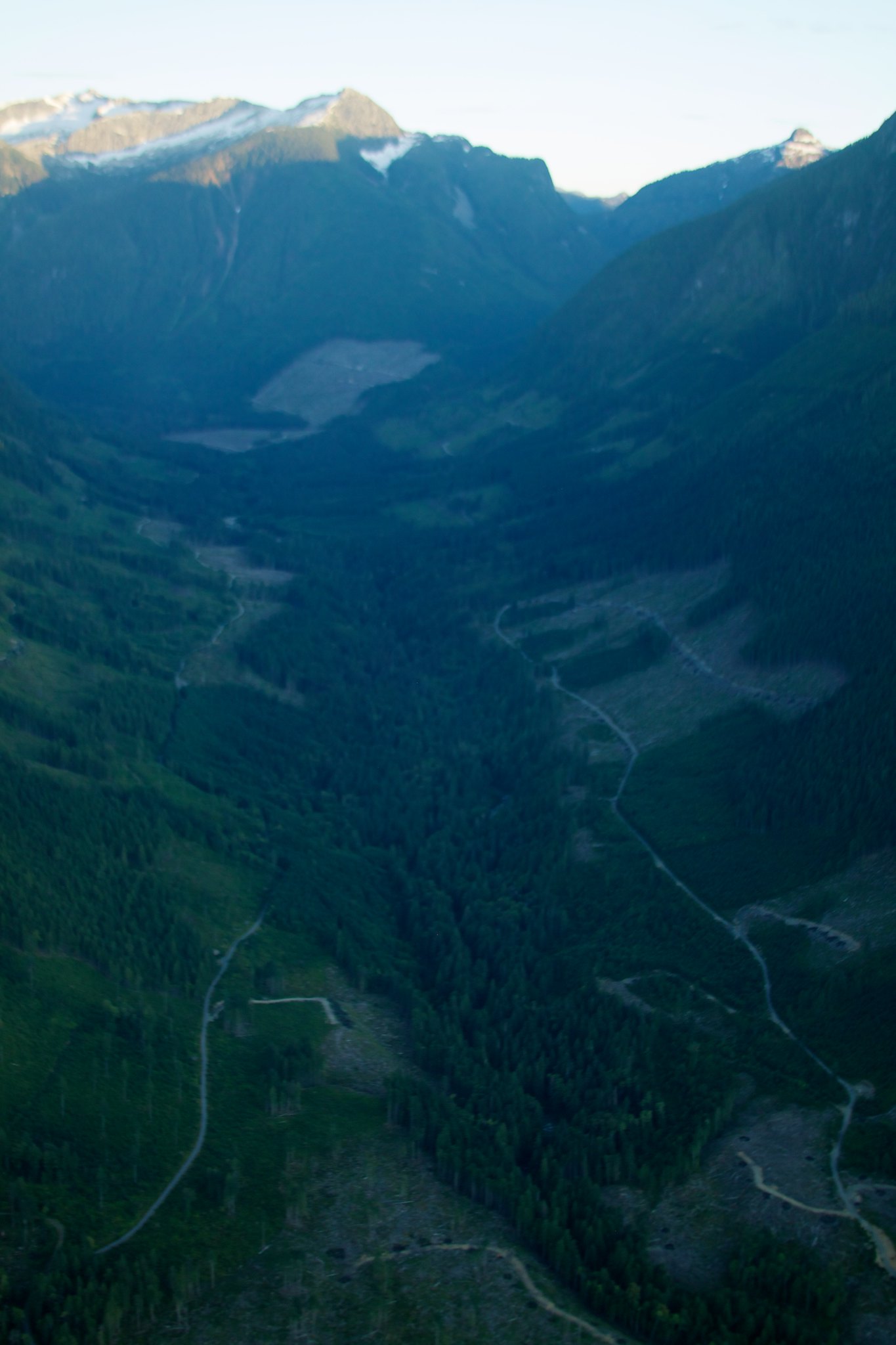 Vista aérea de las laderas de las montañas que tienen grandes secciones de árboles faltantes debido a la tala.