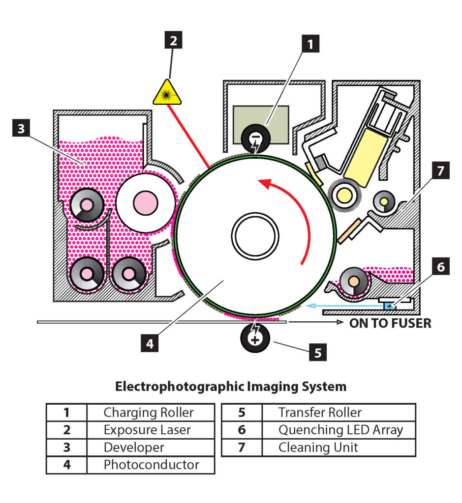 las 7 etapas del sistema de imagen electrofotográfica son 1. rodillo de carga, 2. láser de exposición, 3. revelador, 4. fotoconductor. 5. rodillo de transferencia, 6. matriz de LED de temple, 7. unidad de limpieza