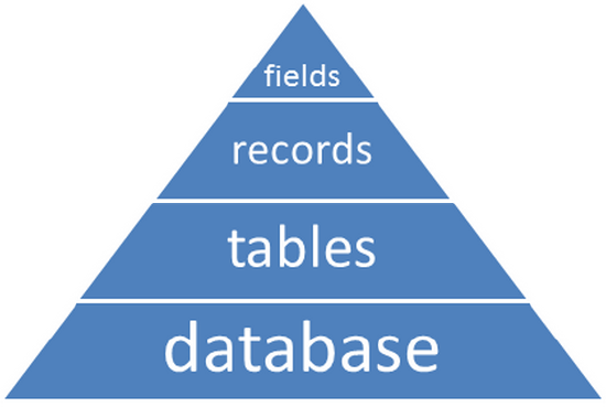 Pyramid divided vertically into 4 sections. Sections are labeled (from bottom to top) as “database,” “tables,” “records,” and “fields.”