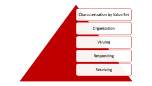 Characterization by Value Set Organization Valuing Responding Receiving